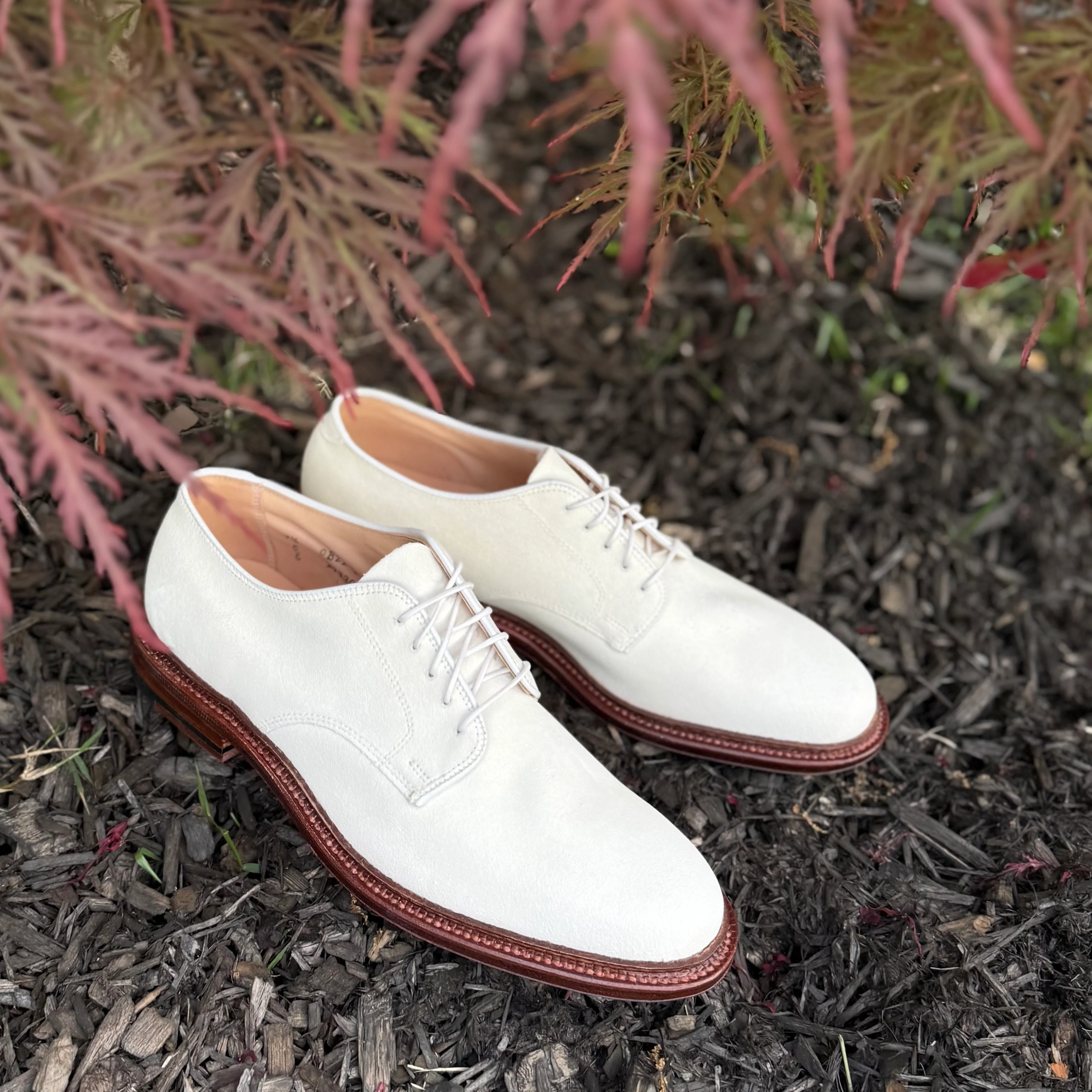 29330F - Unlined Dover in Ivory Suede - Image 3