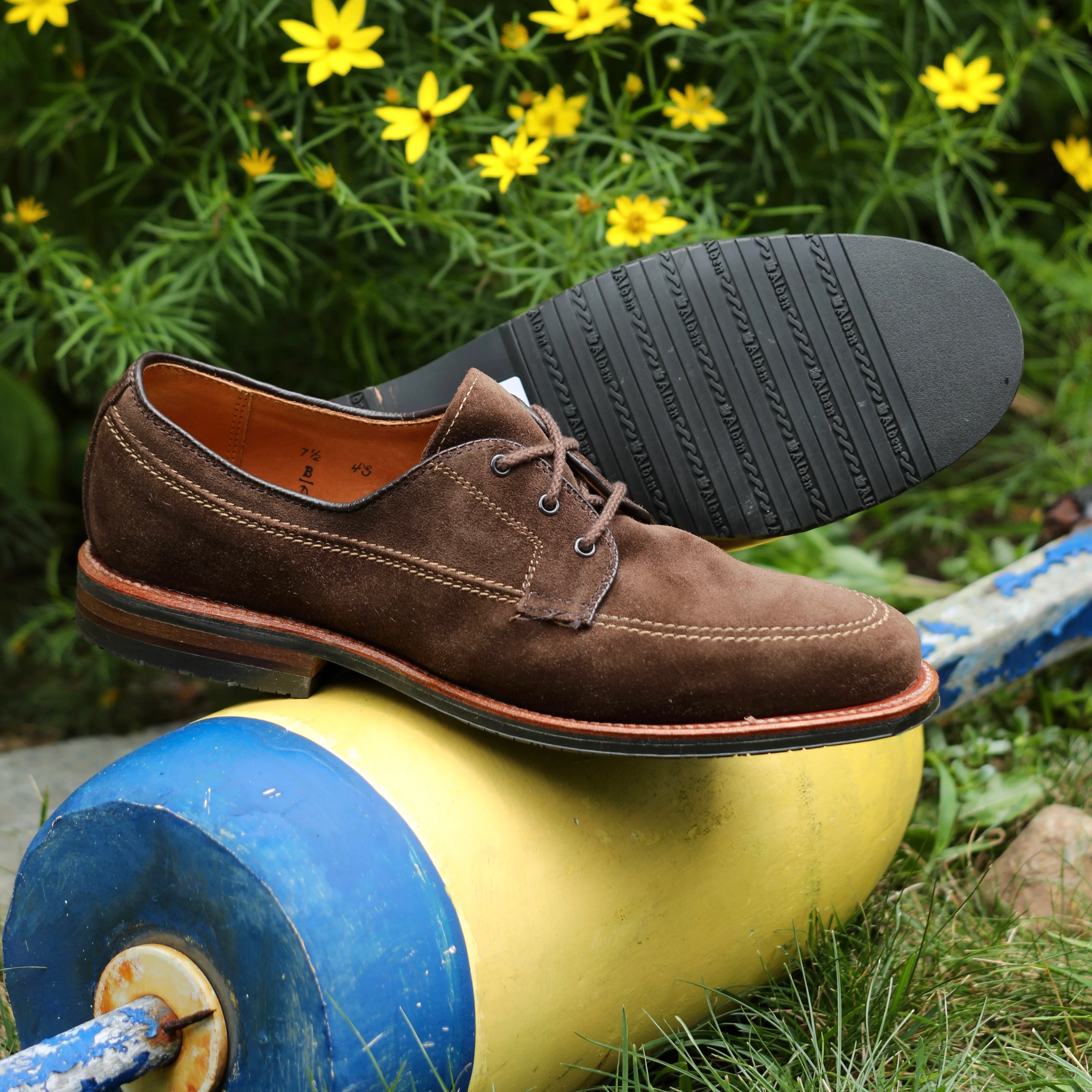 731L - Ivy Blucher in Brown Suede
