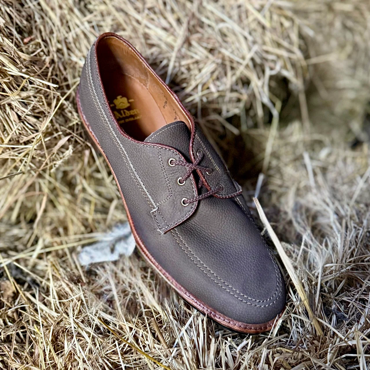 7351 - Ivy Blucher in Clay Nubuck - Image 3