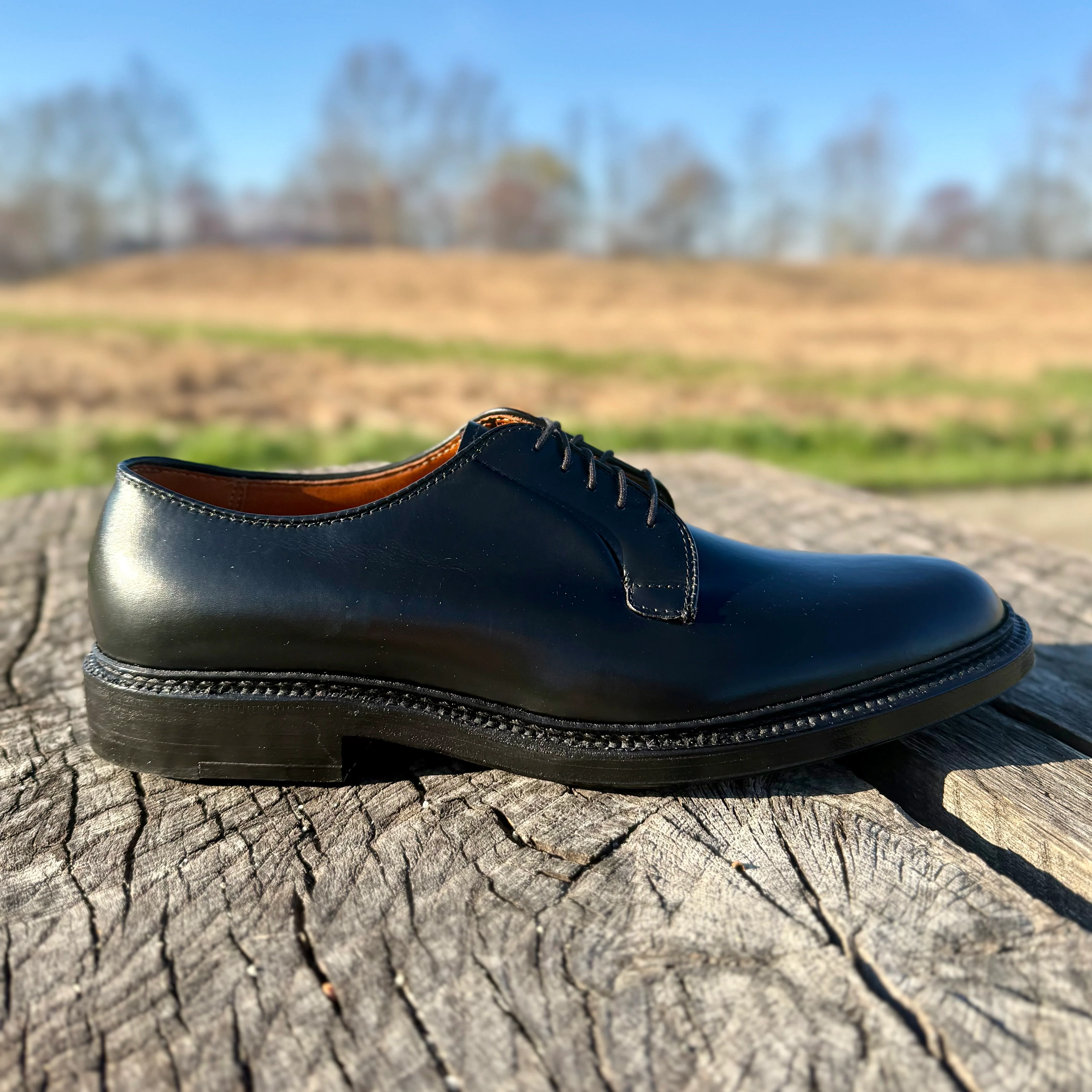 9909 - Black Calfskin Plain Toe Blucher - Image 2