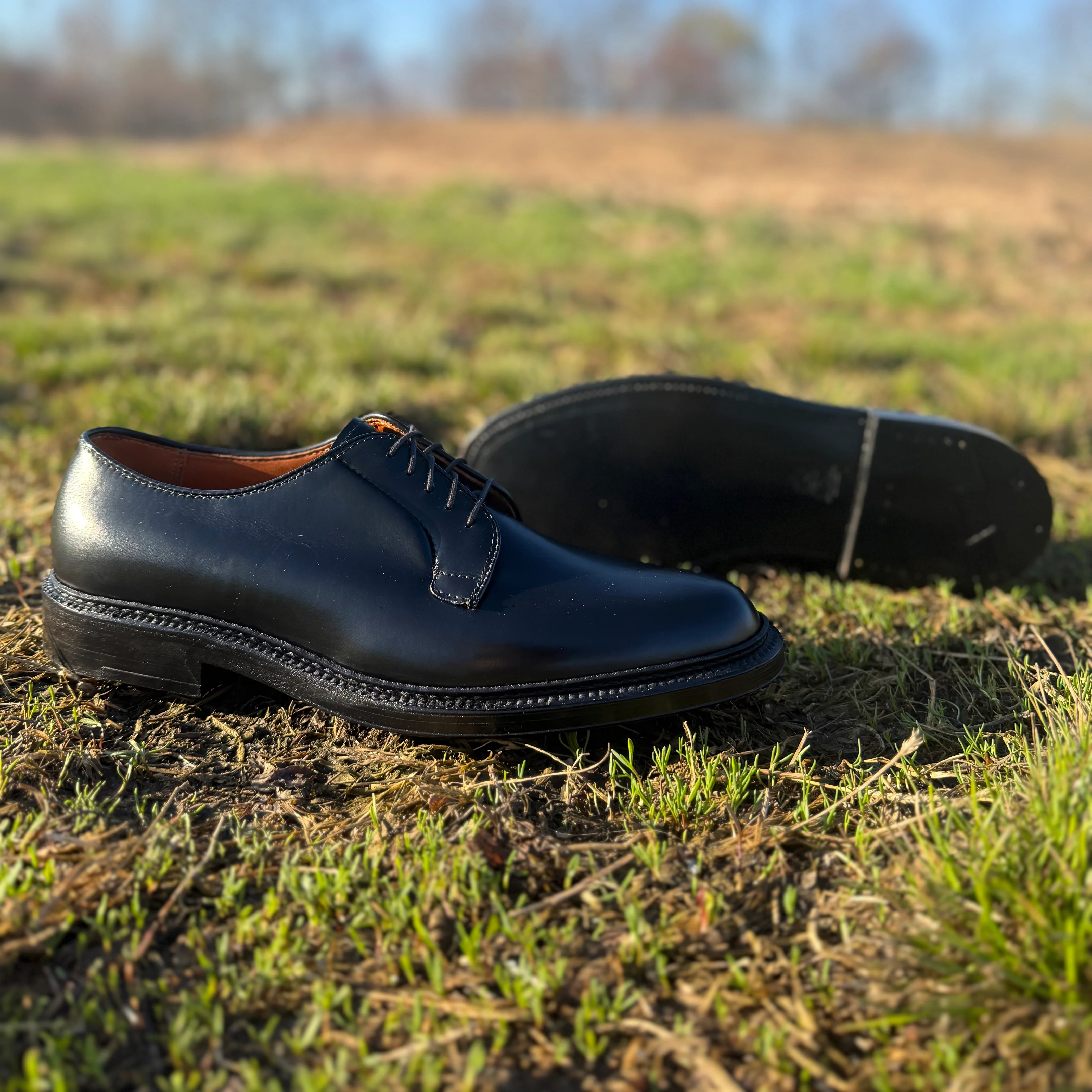 9909 - Black Calfskin Plain Toe Blucher - Image 6