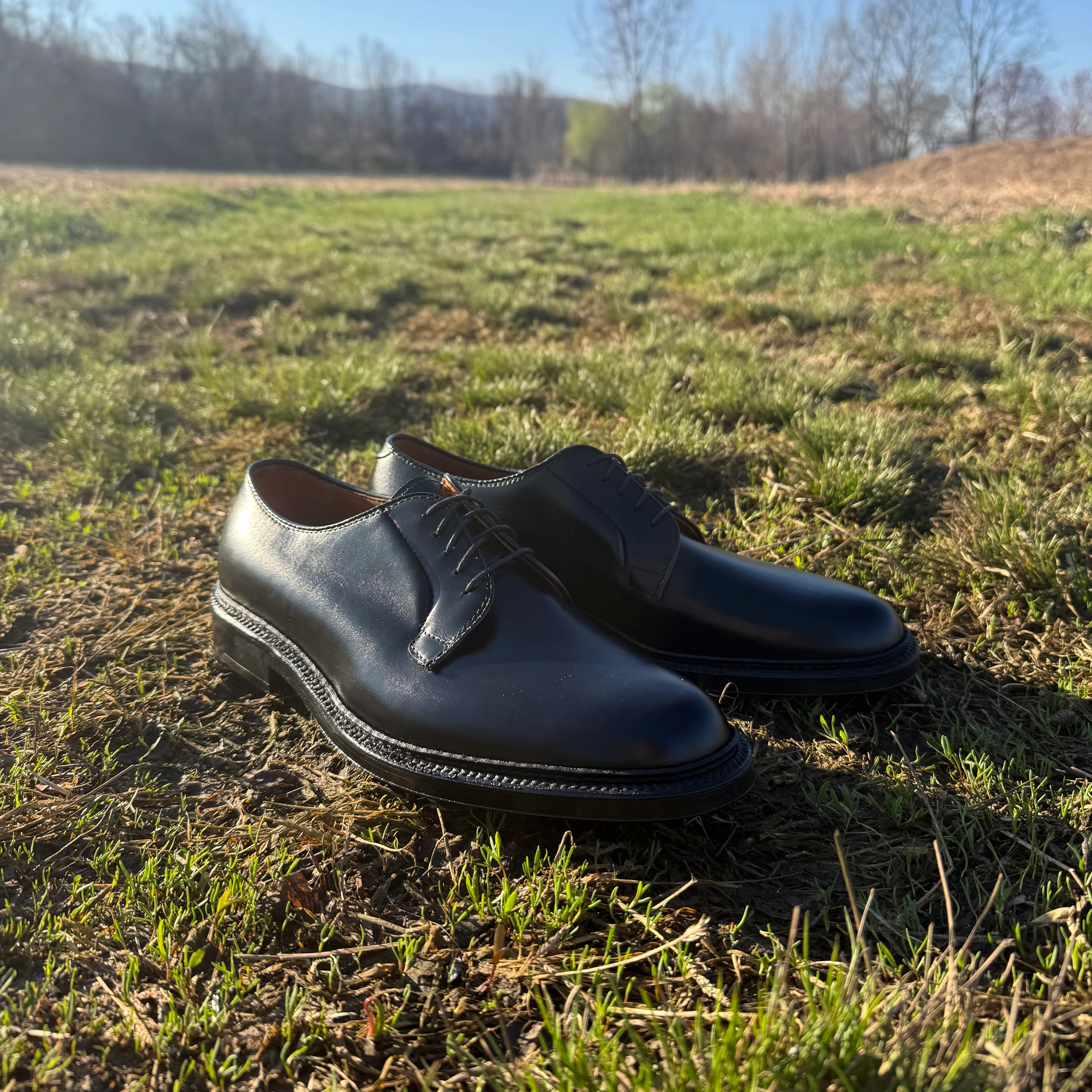 9909 - Black Calfskin Plain Toe Blucher - Image 8