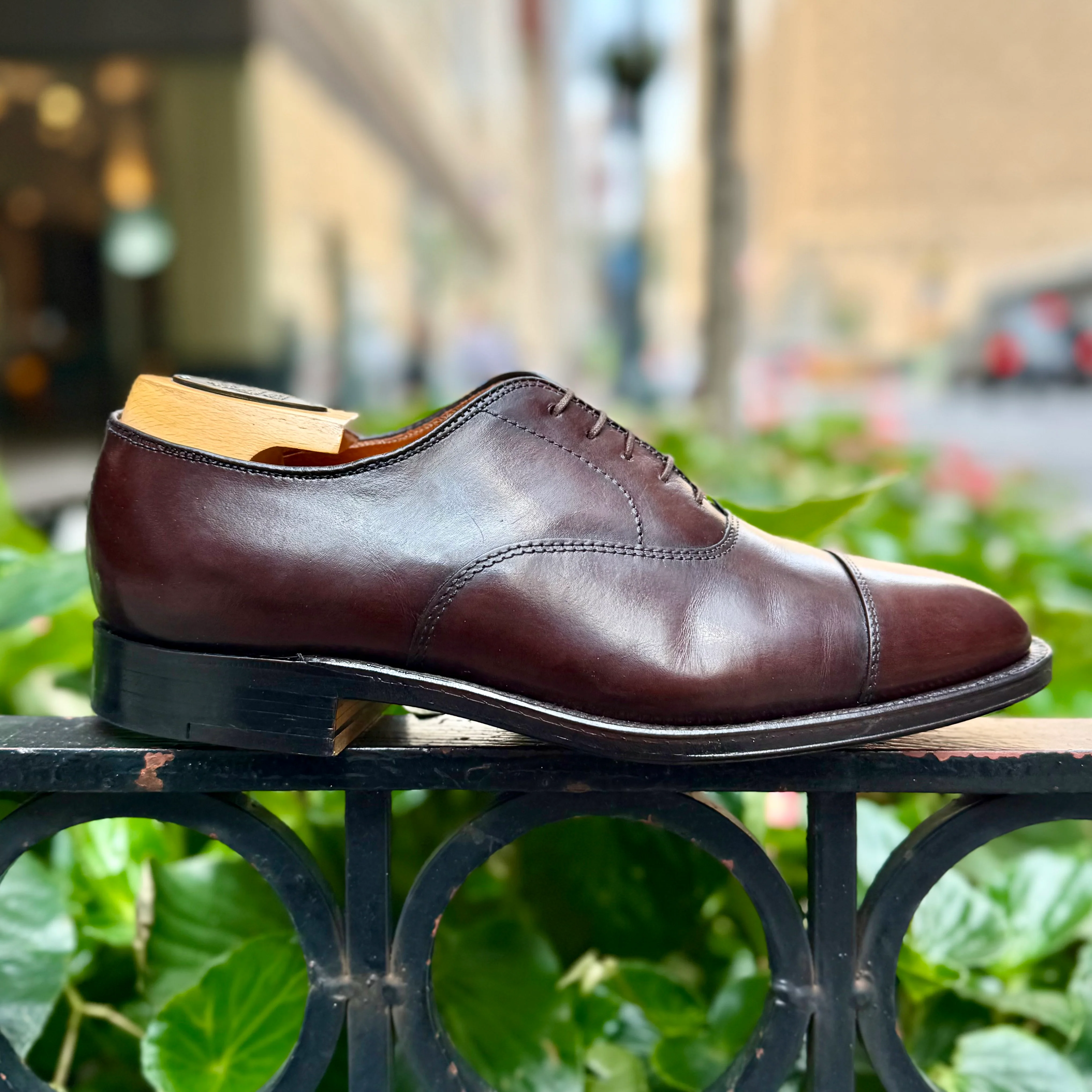 920 - Cap Toe Bal in Brown Calfskin - Image 4