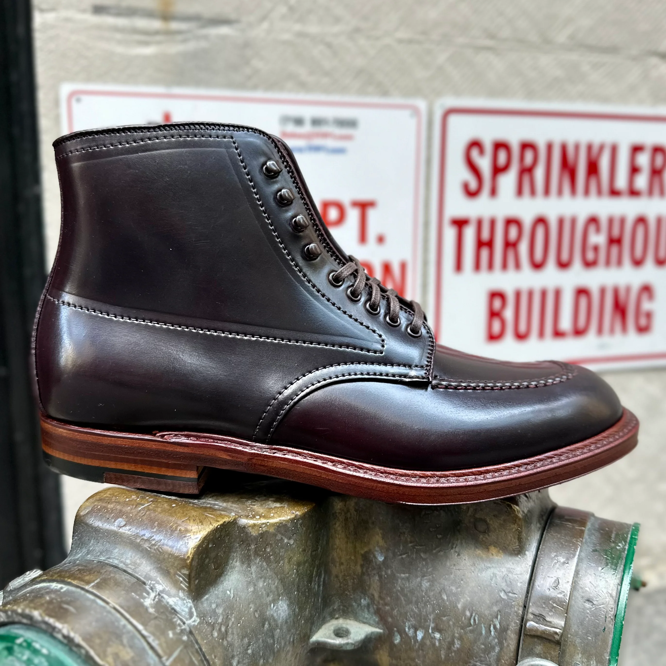 D2936H - Color 8 Shell Indy Boot - Image 3