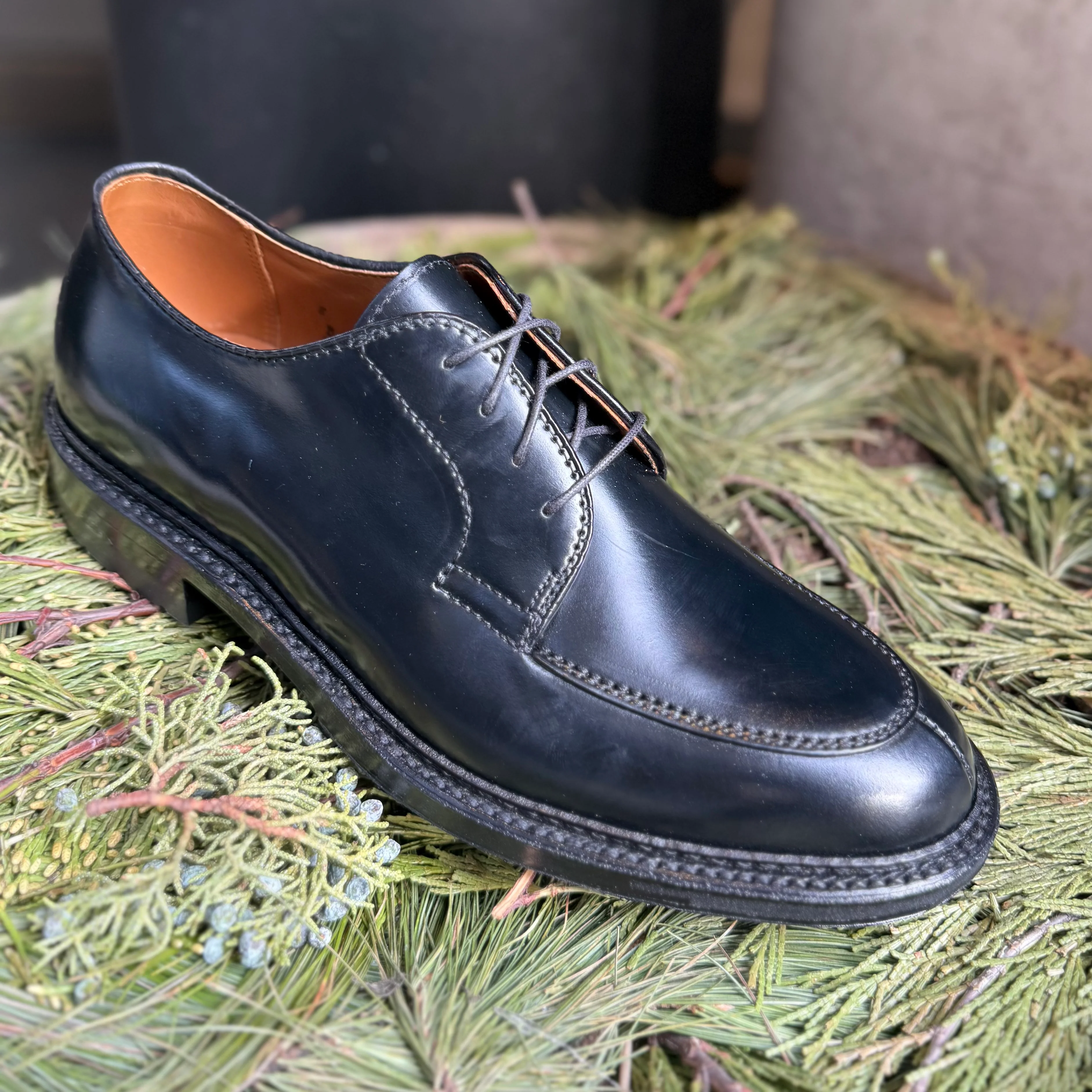 D4604C - Moc Toe “Borough” Blucher in Black Shell - Image 5