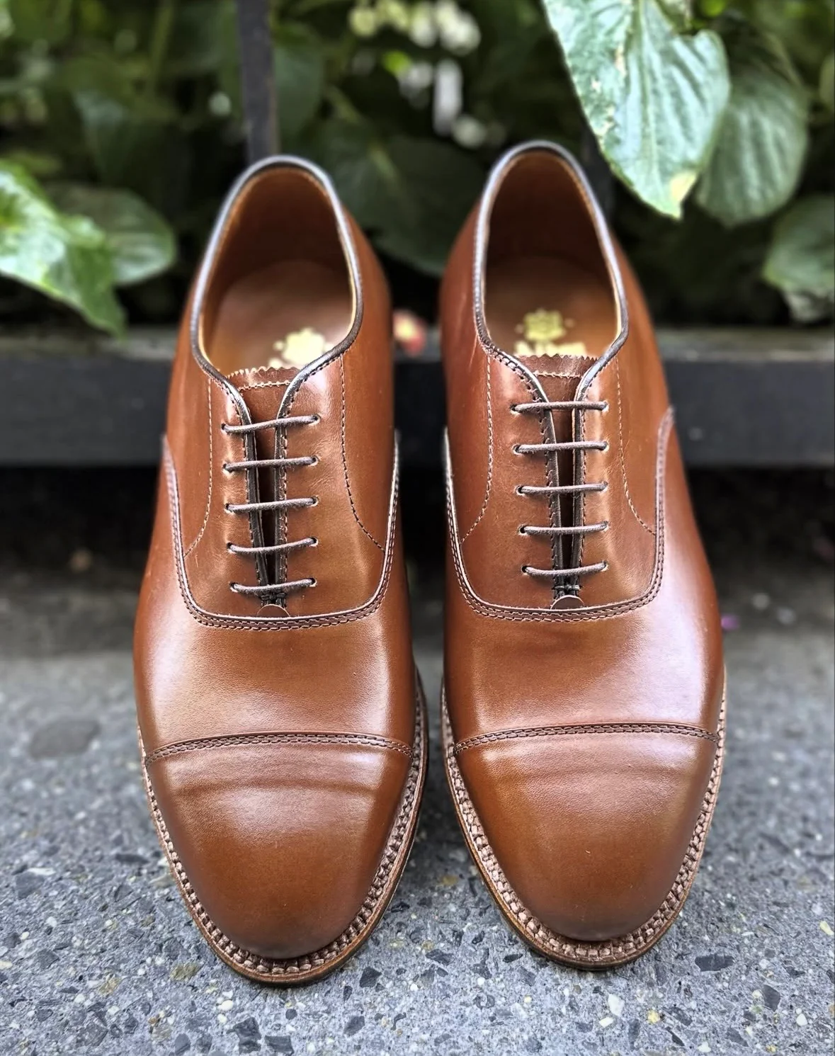 D5310 - Straight Tip Oxford in Madison Brown Calf - Image 2