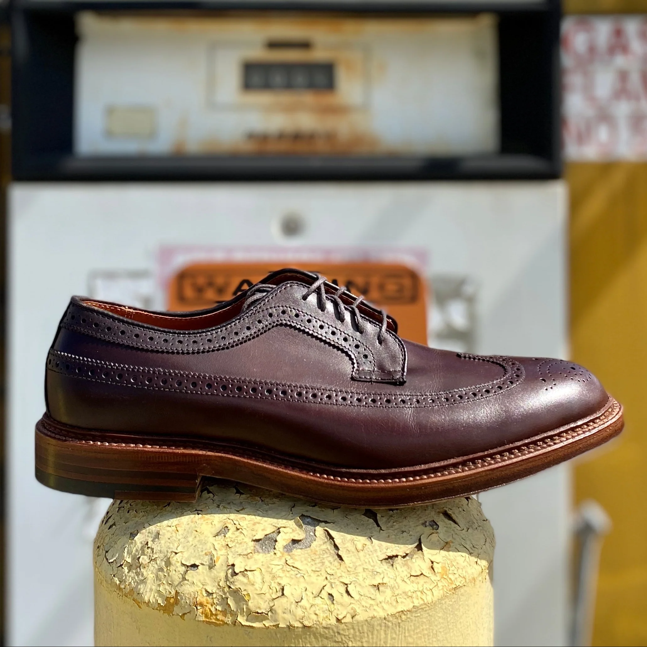 976 - Long Wing Blucher in Brown Calfskin