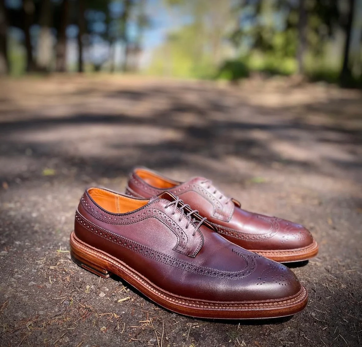 976 - Long Wing Blucher in Brown Calfskin - Image 2