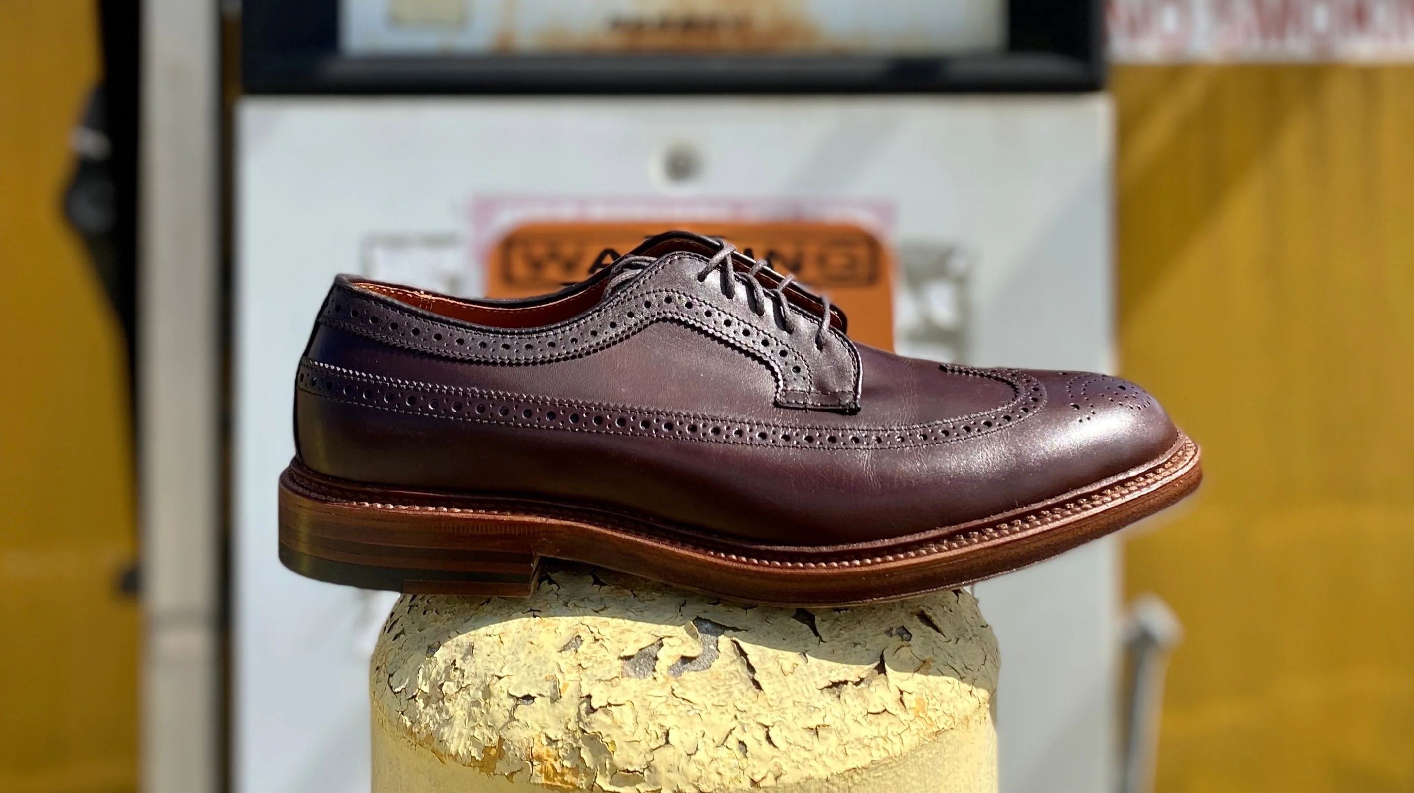 976 - Long Wing Blucher in Brown Calfskin - Image 7