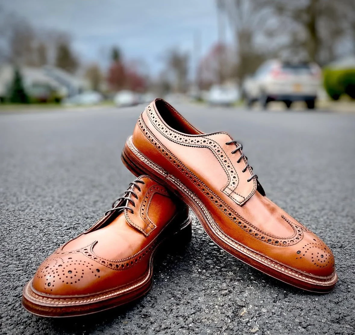 979 - Long Wing Blucher in Burnished Tan Calfskin - Image 2