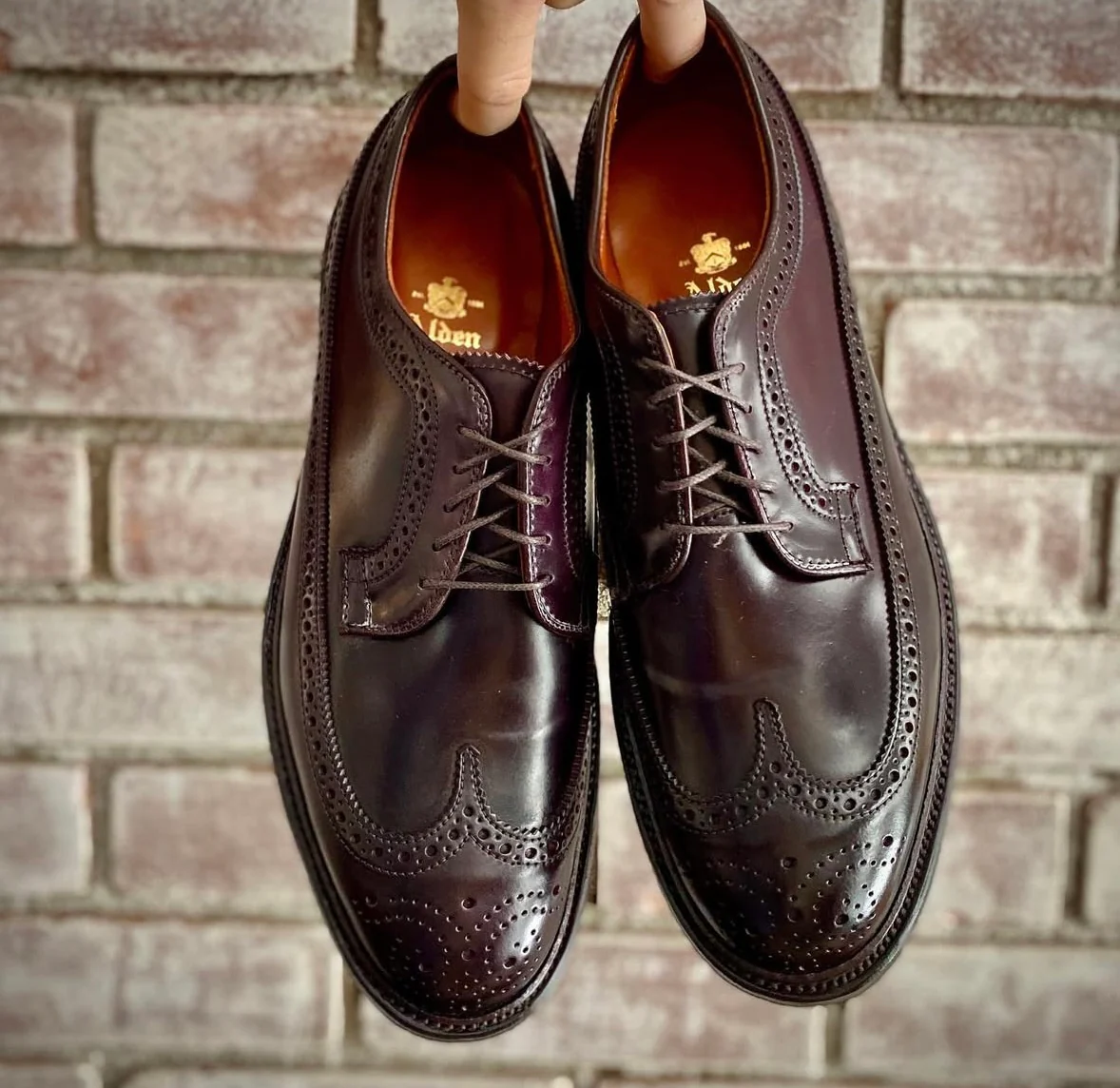 975 - Long Wing Blucher in Color 8 Shell Cordovan