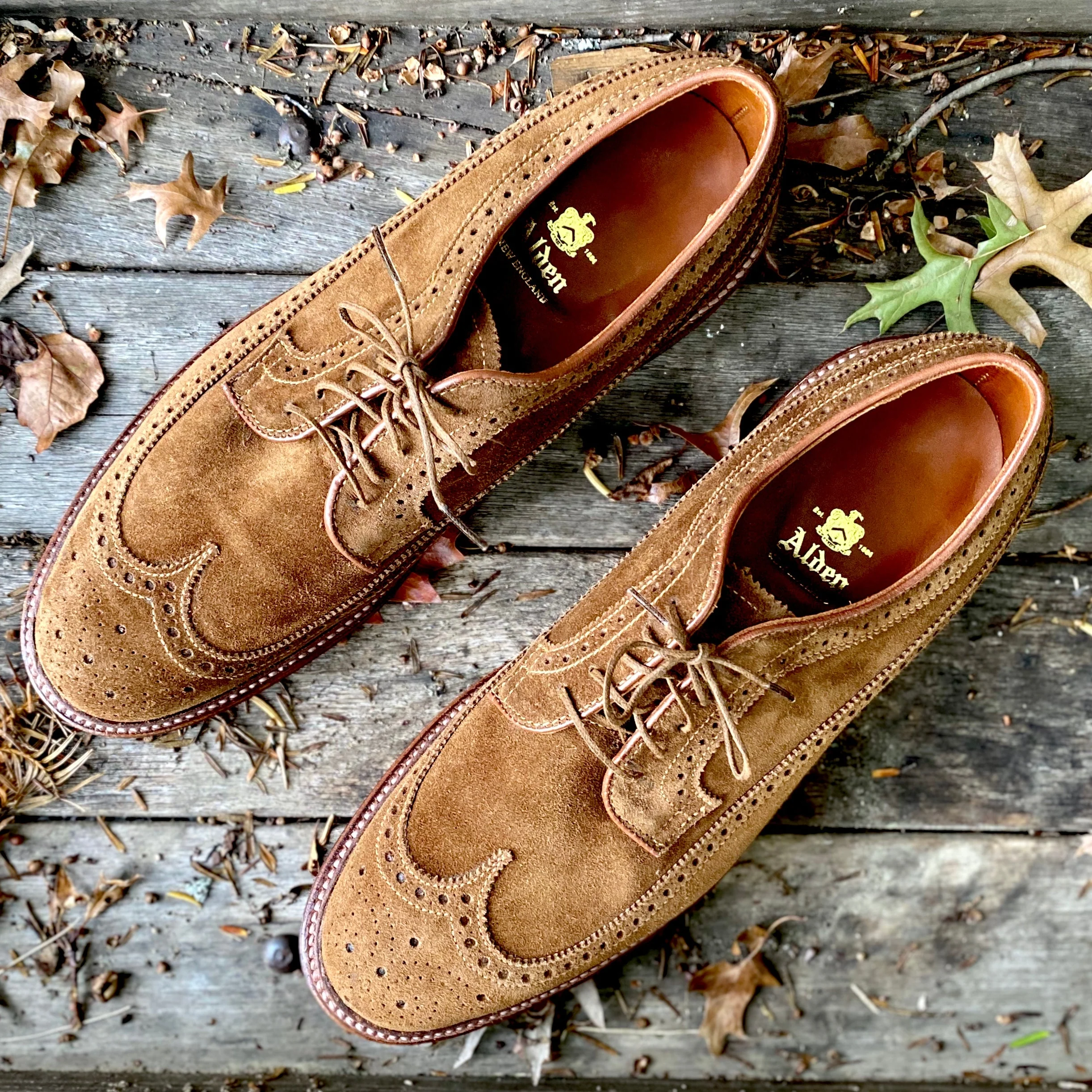 9794 - Long Wing Blucher in Snuff Suede