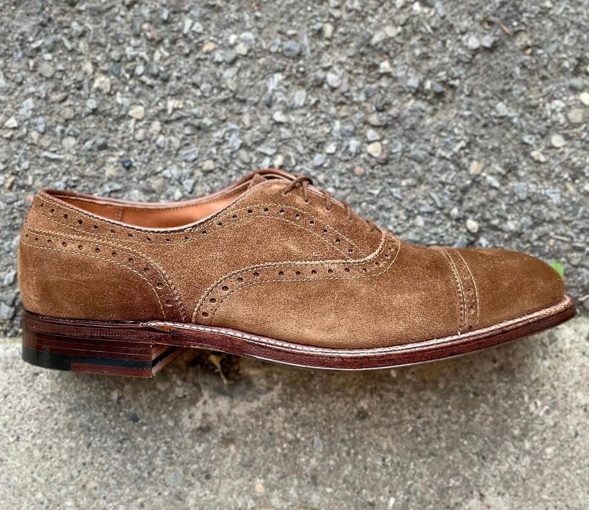 51670F - Medallion Cap Toe Bal in Snuff Suede - Image 5