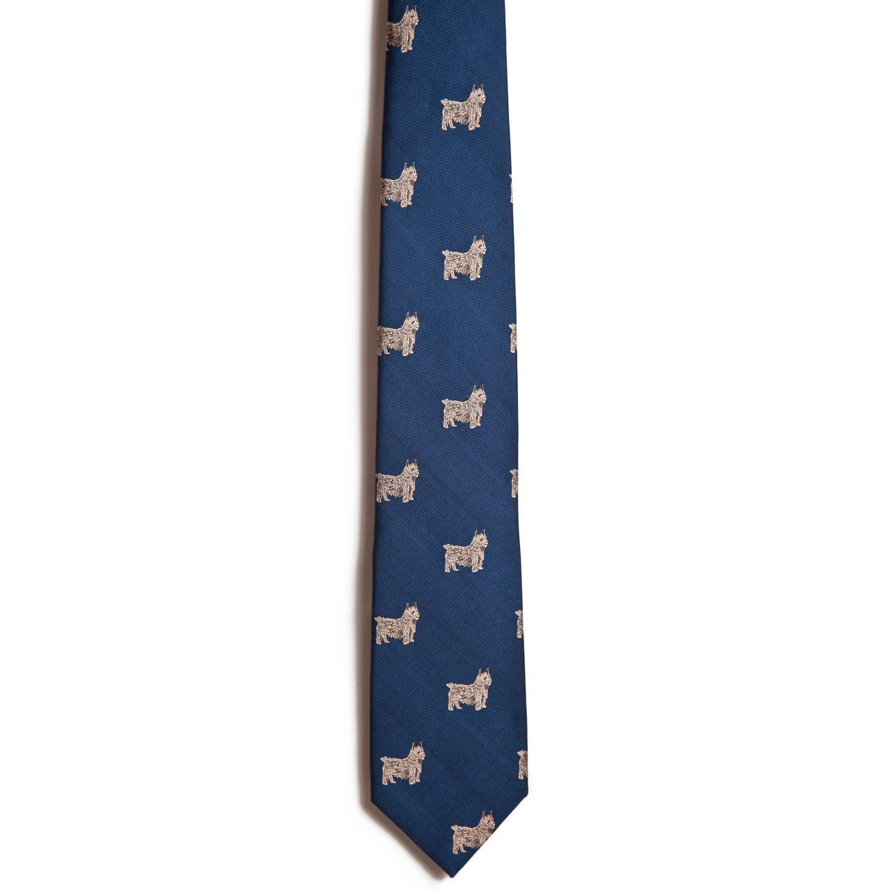 Norwich Terrier