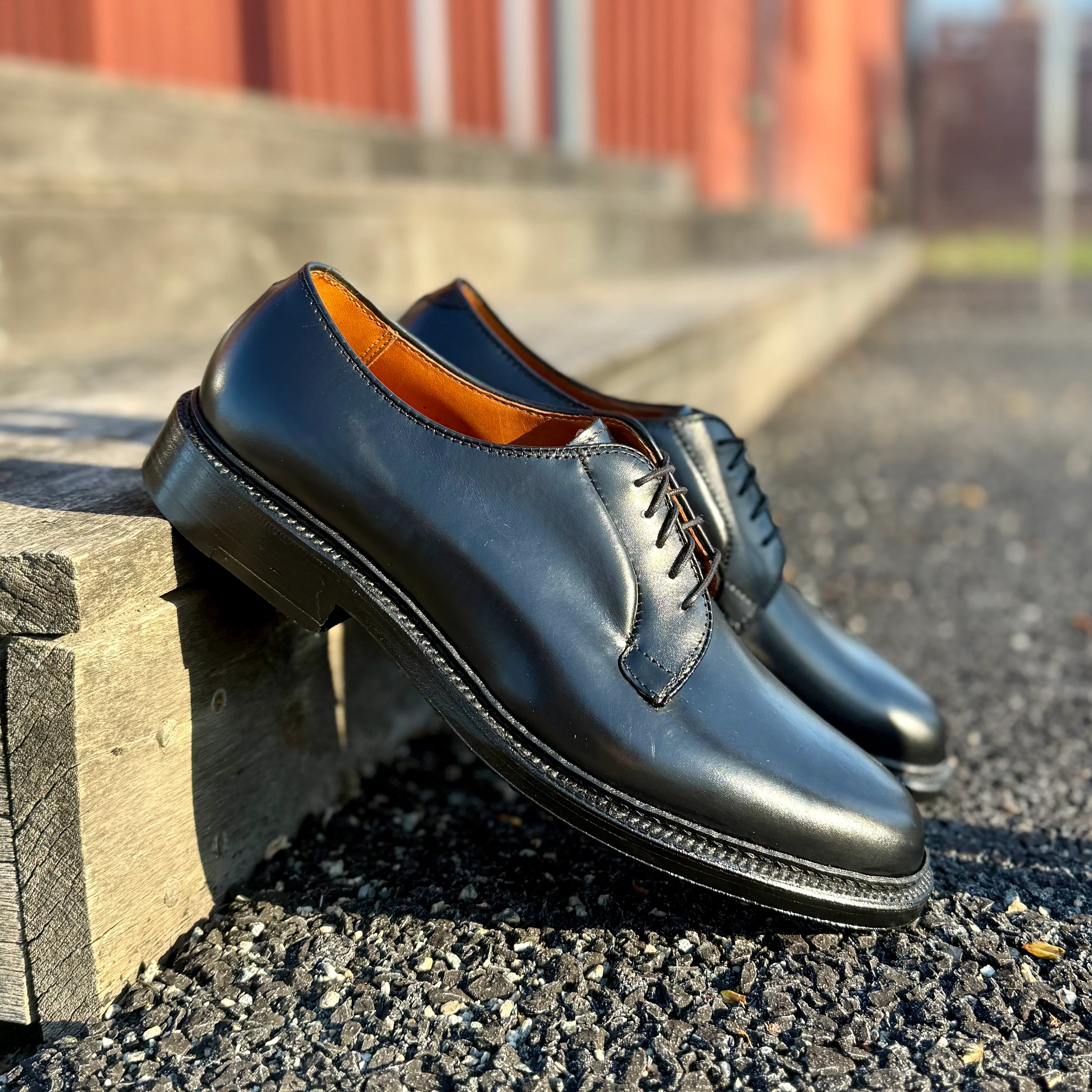 9901 - Plain Toe Blucher Black in Shell Cordovan - Image 2