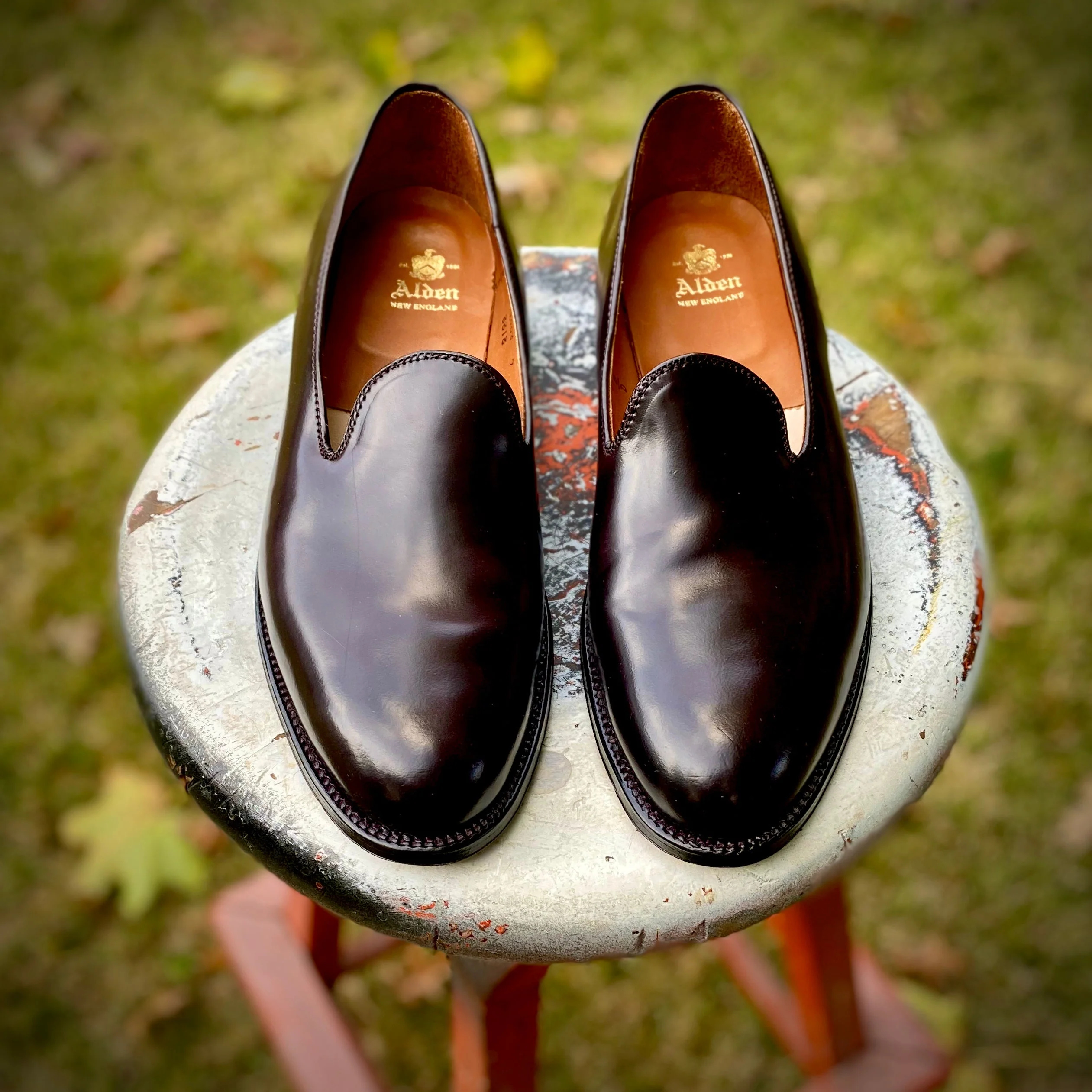 8818 - Plain Toe Slip On in Color 8 Shell - Image 2