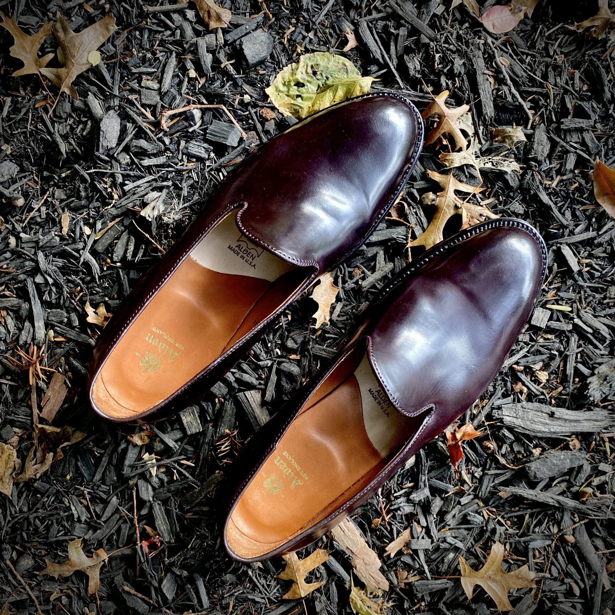 8818 - Plain Toe Slip On in Color 8 Shell - Image 3