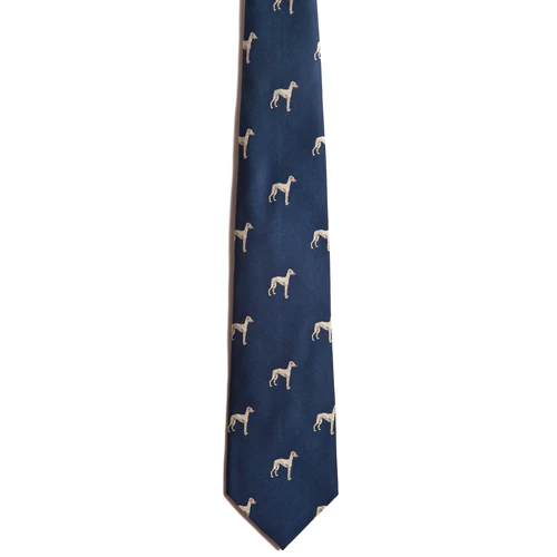 Whippet